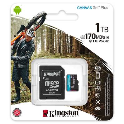 Mémoire MicroSD - KINGSTON - Canvas Go Plus - 1To - 170 Mo/sec