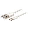Cable Synchro Apple - USB Male / Connecteur Lightning - 2m pour iPad iPhone iPod