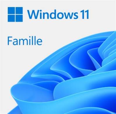 Microsoft Windows 11 Familiale - 64 Bits - COA + CD - Version OEM : NON SLP