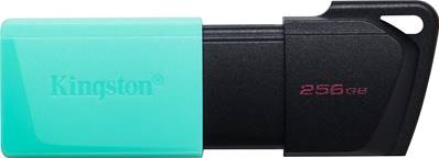 Clé Mémoire KINGSTON DataTraveler Exodia - 256Go - USB 3.2 Type A - Anneau porte clé