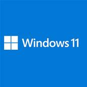Microsoft Windows 11 Familiale - 64 Bits - COA + CD - Version OEM : NON SLP